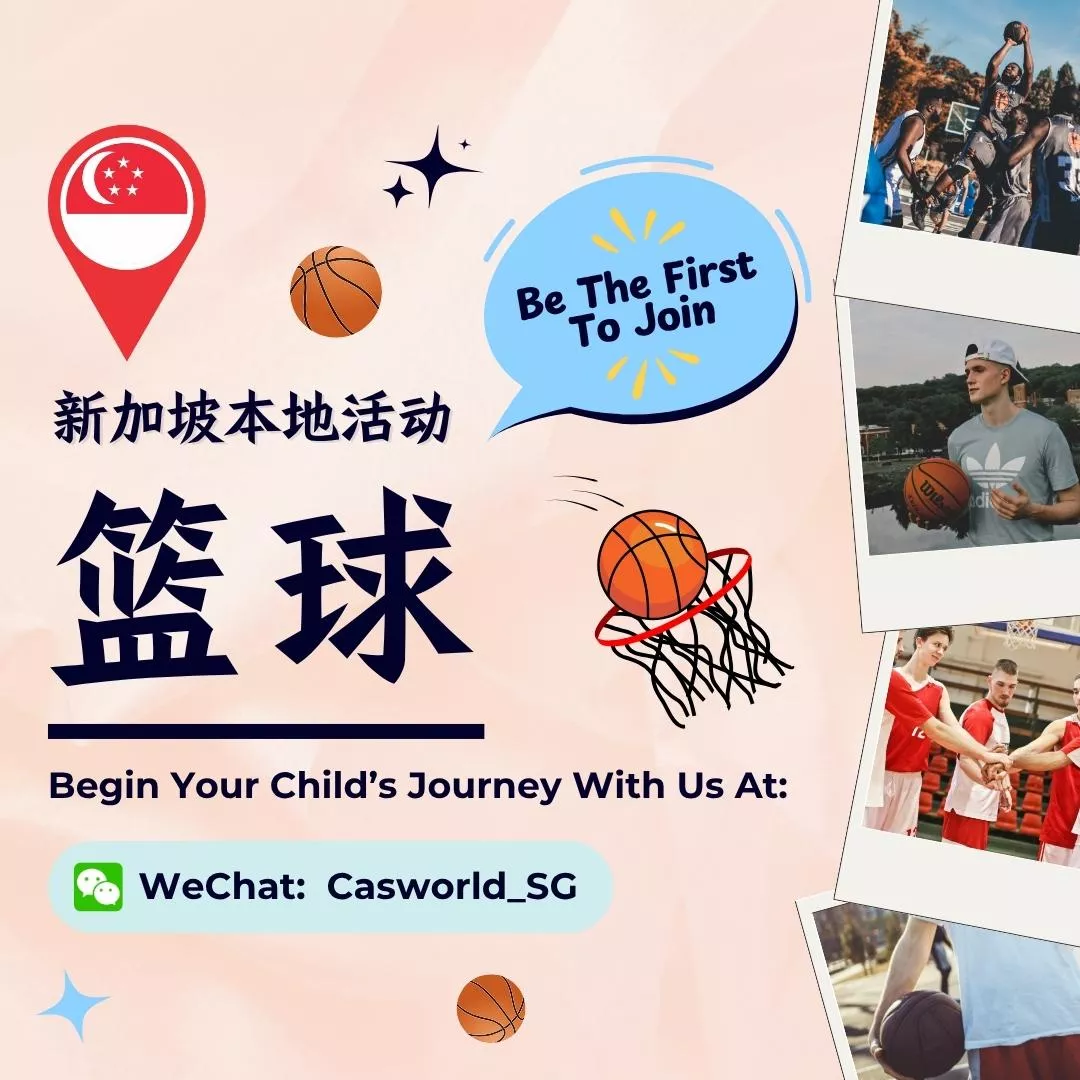 【篮球】新加坡最大篮球学院SG Basketball